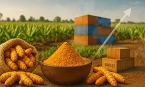 Turmeric
